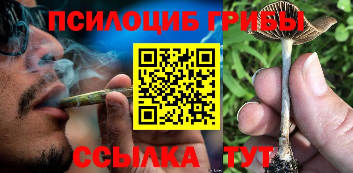 Назарово  Галлюциногенные грибы GOLDEN TEACHER  Вход с VPN  Псилоцибиновые грибы Psilocybe 