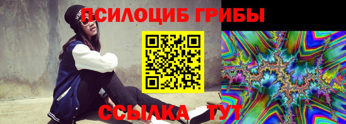 Псилоцибиновые грибы Psilocybe Назарово